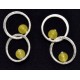 Earrings Hoops
