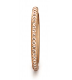 Anillo Niessing Satellite