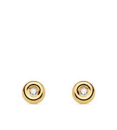Yellow Gold with Diamond earrings