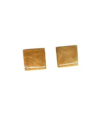 Arracades Escletges