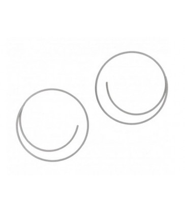 Niessing Linear earrings