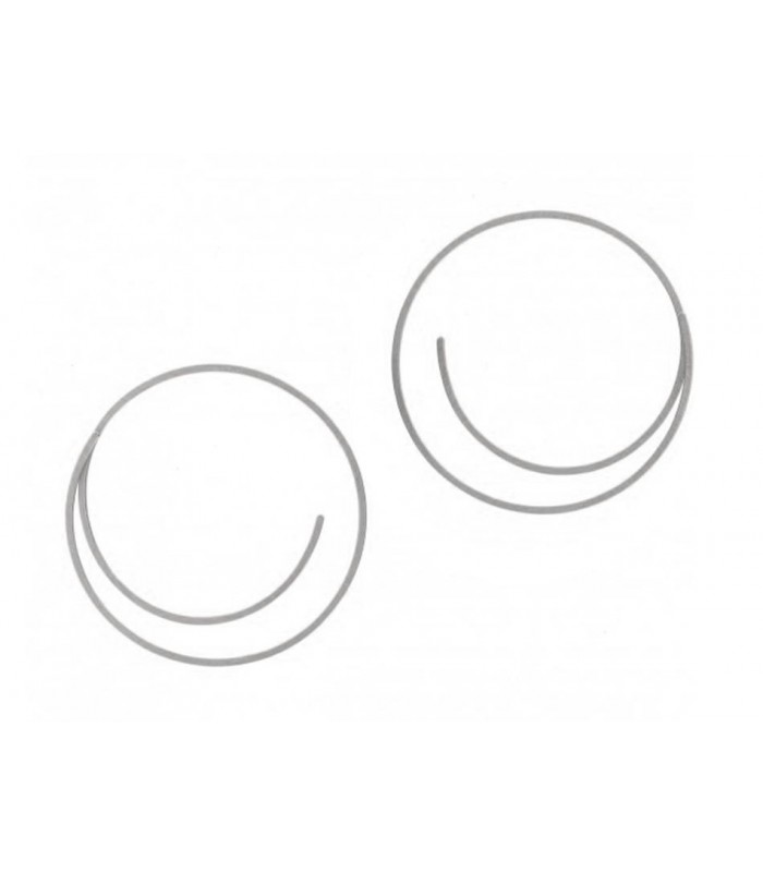 Niessing Linear earrings