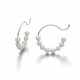 Pearls Creolen