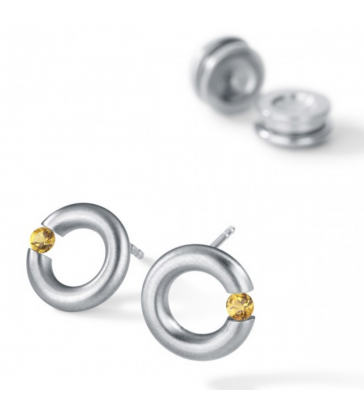 Amathyst Earrings Round Steel
