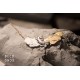 Collar Acanthus