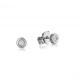White Gold with Diamond earrings