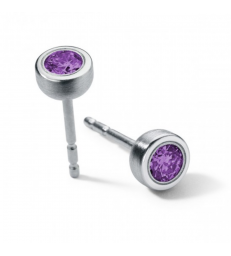Pendientes amatista Redondo Acero