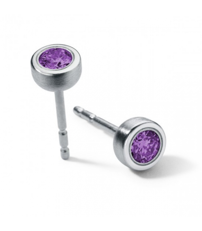 Amathyst Earrings Round Steel