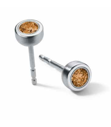 Arracades citri Rodones Acer