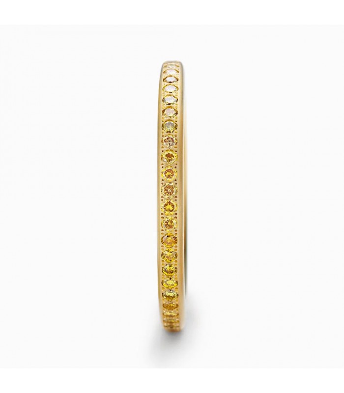 Anillo Niessing Satellite