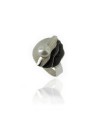 Anillo Olas